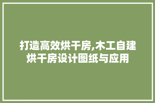 打造高效烘干房,木工自建烘干房设计图纸与应用