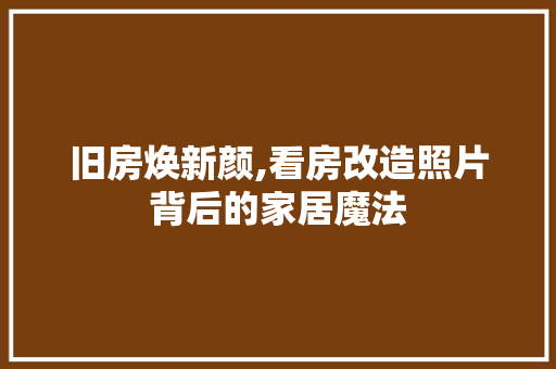 旧房焕新颜,看房改造照片背后的家居魔法
