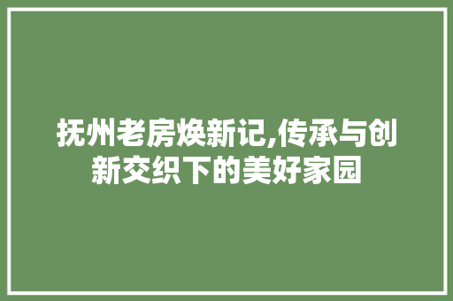 抚州老房焕新记,传承与创新交织下的美好家园