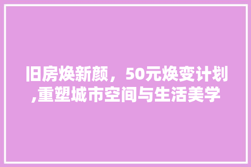 旧房焕新颜，50元焕变计划,重塑城市空间与生活美学