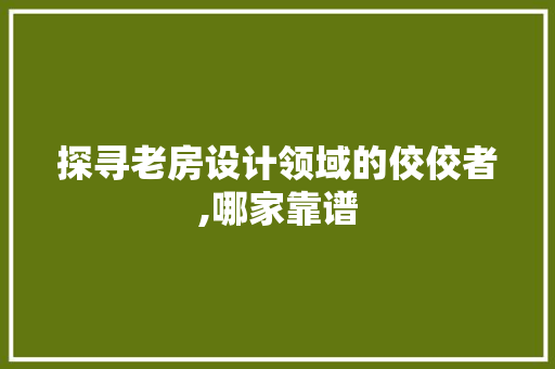 探寻老房设计领域的佼佼者,哪家靠谱