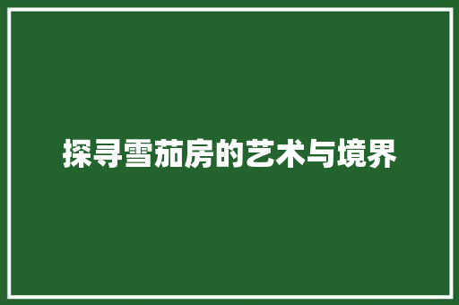 探寻雪茄房的艺术与境界