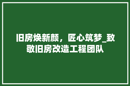 旧房焕新颜，匠心筑梦_致敬旧房改造工程团队