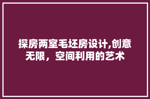 探房两室毛坯房设计,创意无限，空间利用的艺术