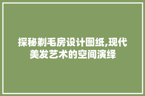 探秘剃毛房设计图纸,现代美发艺术的空间演绎