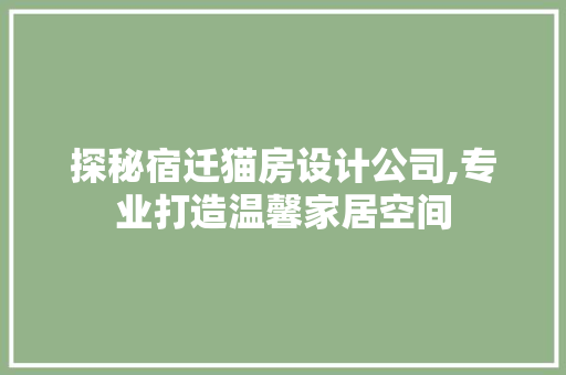 探秘宿迁猫房设计公司,专业打造温馨家居空间