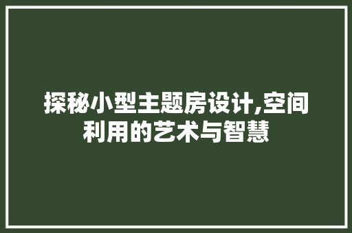 探秘小型主题房设计,空间利用的艺术与智慧