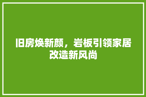 旧房焕新颜，岩板引领家居改造新风尚