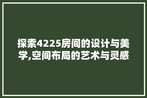 探索4225房间的设计与美学,空间布局的艺术与灵感之源