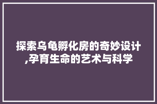 探索乌龟孵化房的奇妙设计,孕育生命的艺术与科学