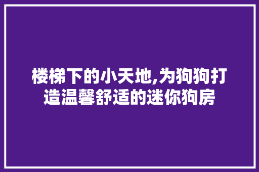 楼梯下的小天地,为狗狗打造温馨舒适的迷你狗房