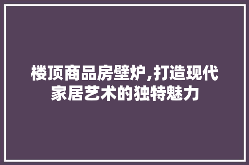 楼顶商品房壁炉,打造现代家居艺术的独特魅力