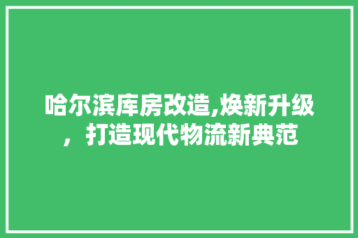 哈尔滨库房改造,焕新升级，打造现代物流新典范