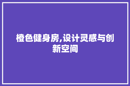 橙色健身房,设计灵感与创新空间
