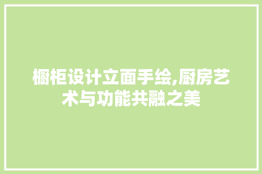 橱柜设计立面手绘,厨房艺术与功能共融之美