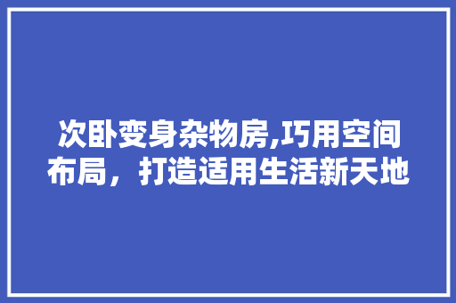 次卧变身杂物房,巧用空间布局，打造适用生活新天地