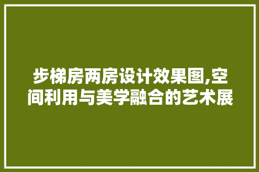 步梯房两房设计效果图,空间利用与美学融合的艺术展现