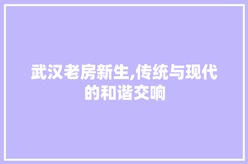武汉老房新生,传统与现代的和谐交响