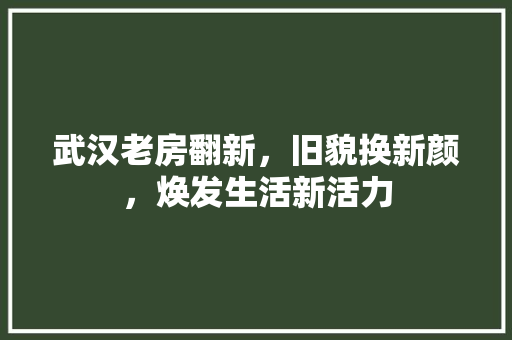 武汉老房翻新，旧貌换新颜，焕发生活新活力