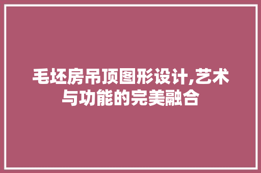 毛坯房吊顶图形设计,艺术与功能的完美融合