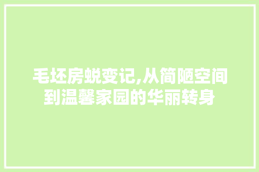 毛坯房蜕变记,从简陋空间到温馨家园的华丽转身