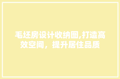 毛坯房设计收纳图,打造高效空间，提升居住品质