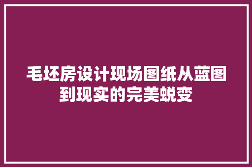 毛坯房设计现场图纸从蓝图到现实的完美蜕变
