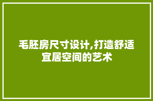 毛胚房尺寸设计,打造舒适宜居空间的艺术
