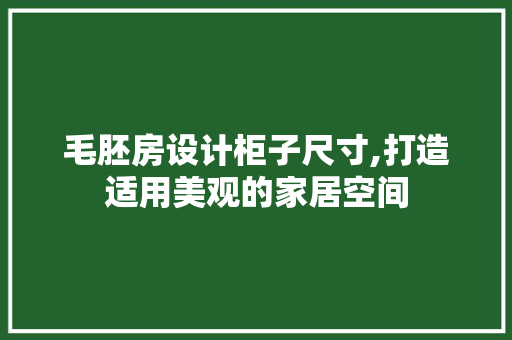 毛胚房设计柜子尺寸,打造适用美观的家居空间
