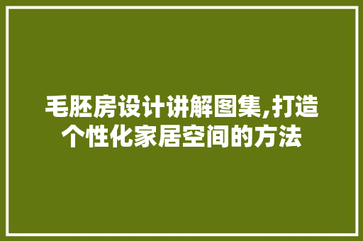 毛胚房设计讲解图集,打造个性化家居空间的方法