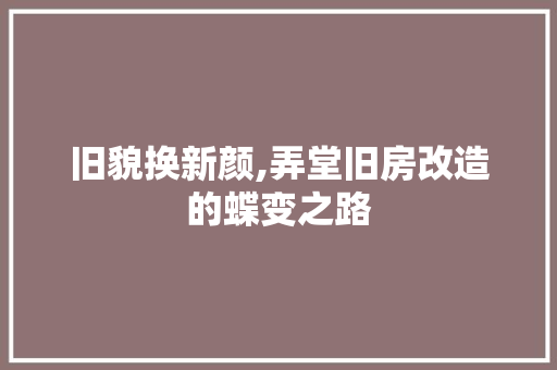 旧貌换新颜,弄堂旧房改造的蝶变之路