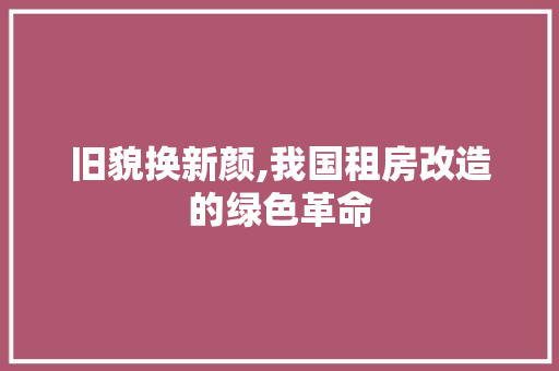 旧貌换新颜,我国租房改造的绿色革命