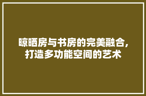 晾晒房与书房的完美融合,打造多功能空间的艺术