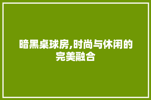 暗黑桌球房,时尚与休闲的完美融合