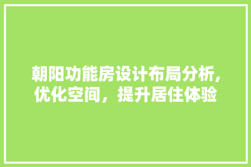 朝阳功能房设计布局分析,优化空间，提升居住体验