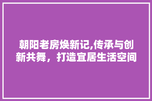 朝阳老房焕新记,传承与创新共舞，打造宜居生活空间