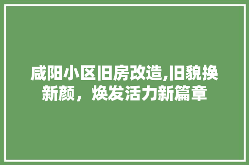 咸阳小区旧房改造,旧貌换新颜，焕发活力新篇章