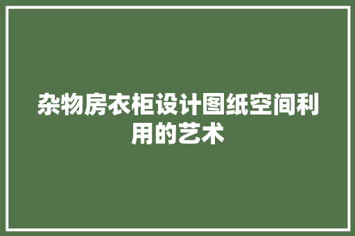 杂物房衣柜设计图纸空间利用的艺术