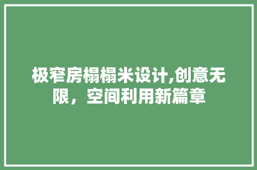 极窄房榻榻米设计,创意无限，空间利用新篇章