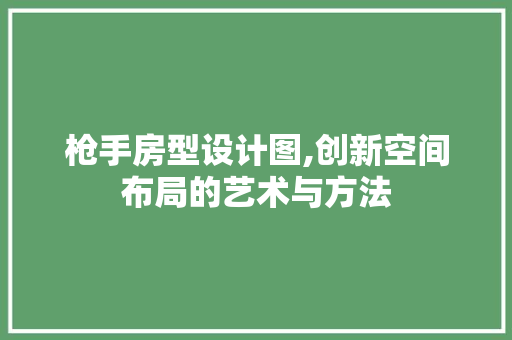 枪手房型设计图,创新空间布局的艺术与方法