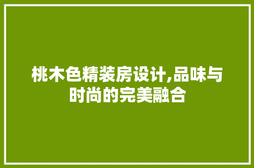桃木色精装房设计,品味与时尚的完美融合