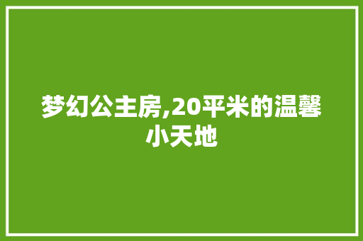 梦幻公主房,20平米的温馨小天地
