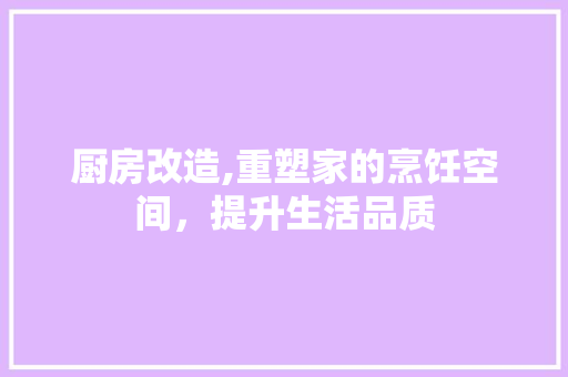 厨房改造,重塑家的烹饪空间，提升生活品质
