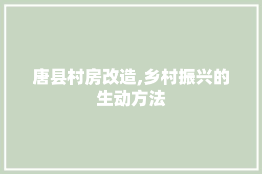 唐县村房改造,乡村振兴的生动方法