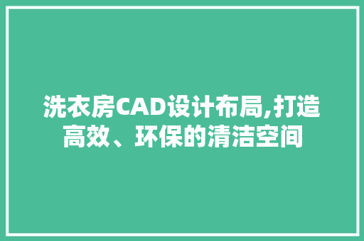 洗衣房CAD设计布局,打造高效、环保的清洁空间