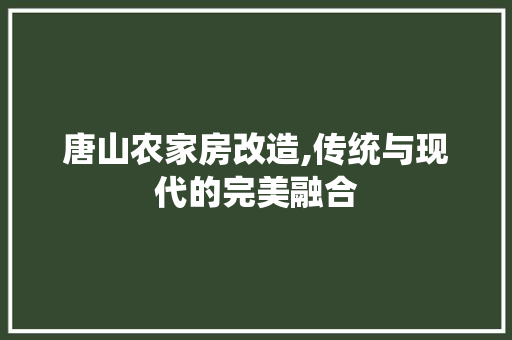 唐山农家房改造,传统与现代的完美融合