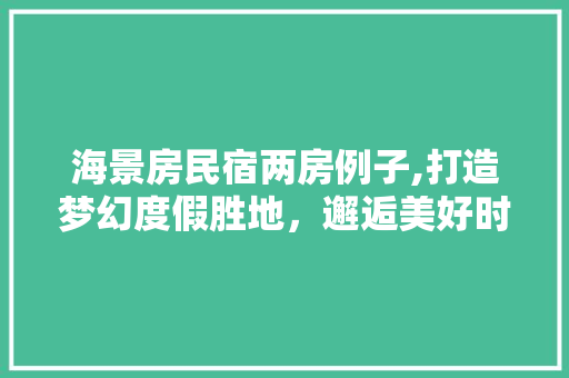 海景房民宿两房例子,打造梦幻度假胜地，邂逅美好时光