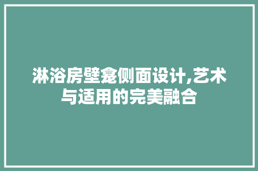 淋浴房壁龛侧面设计,艺术与适用的完美融合