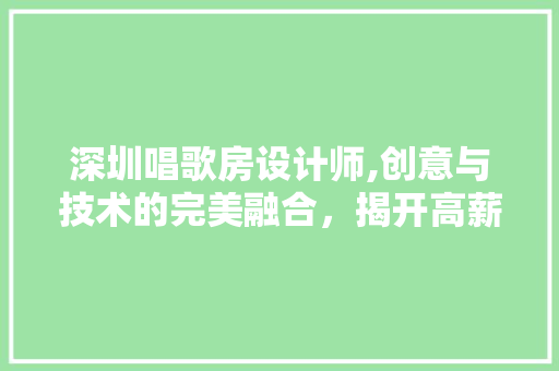 深圳唱歌房设计师,创意与技术的完美融合，揭开高薪背后的秘密
