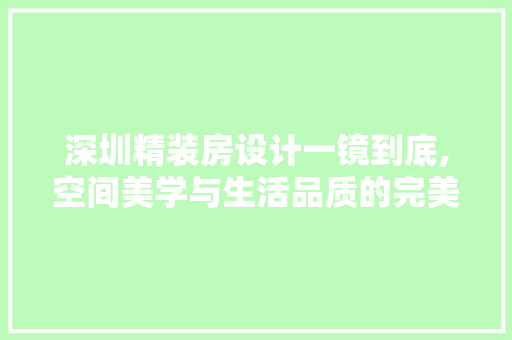 深圳精装房设计一镜到底,空间美学与生活品质的完美融合